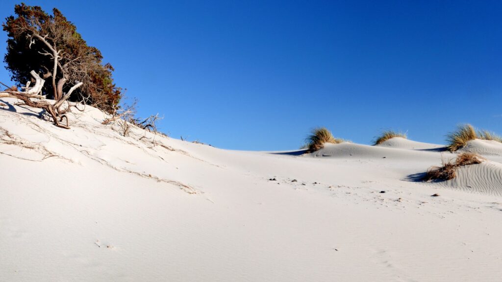Vacanze Sud Sardegna: ammirare le dune di sabbia bianca di Porto Pino