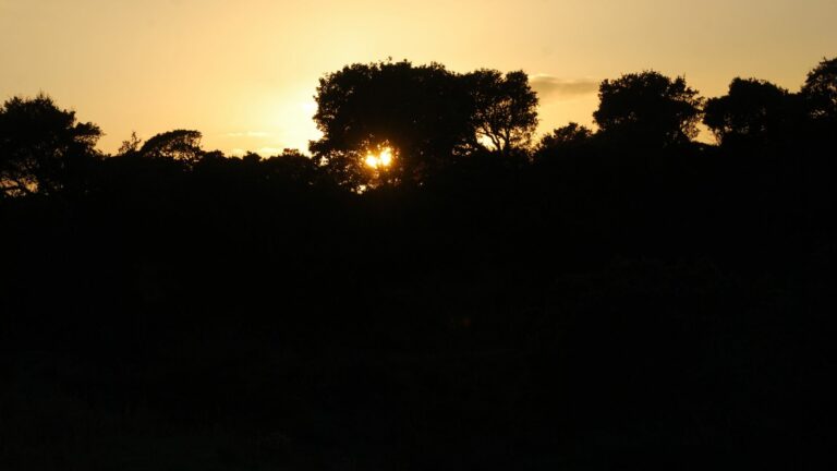 Sardegna in inverno